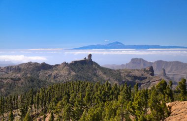 Las Palmas, İspanya - 29 Şubat 2020: Karnaval Kraliçesi Las Palmas de Gran Canaria şehrinden geçerken ana karnaval geçidine katıldı
