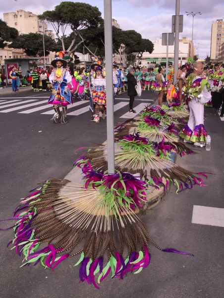 Las Palmas Espagne Février 2020 Des Collectifs Musique Danse Des — Photo