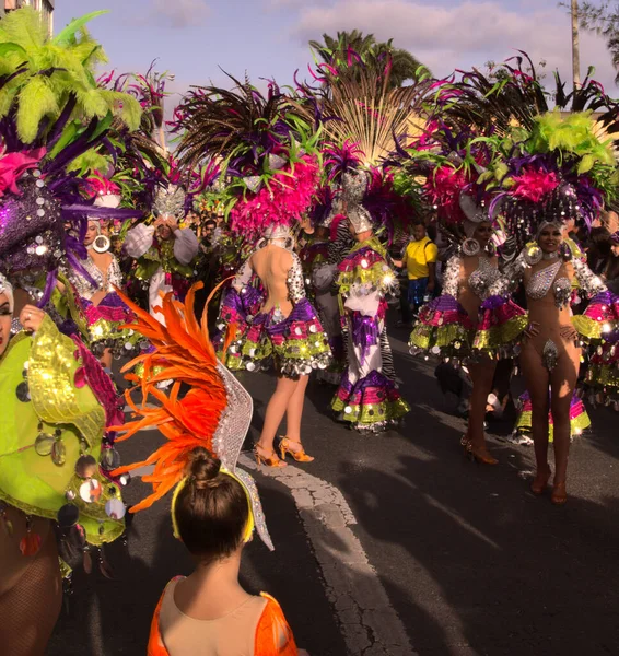 Las Palmas Spanje Februari 2020 Muziek Danscollectieven Murgas Vergelijkingen Nemen — Stockfoto