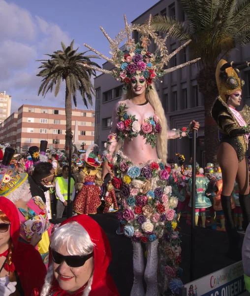 Las Palmas Espanha Fevereiro 2020 Rainhas Arrasto Participam Desfile Principal — Fotografia de Stock