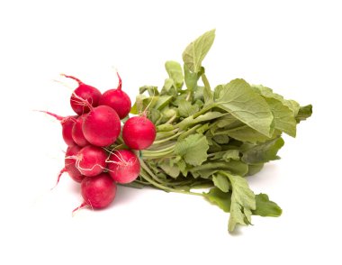 Beyaz arkaplanda taze kırmızı turp izole edildi