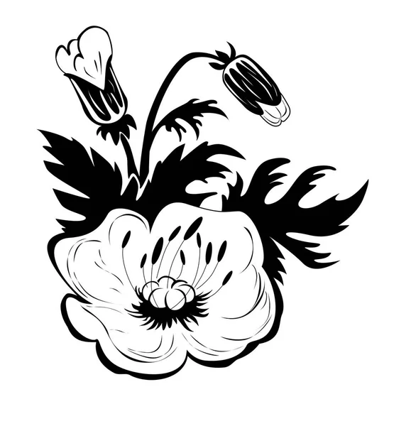 Contour des fleurs de coquelicots — Image vectorielle