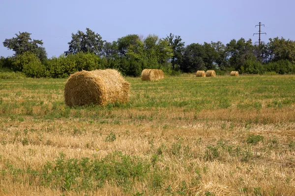 Упаковка сена на поле после сбора урожая — стоковое фото