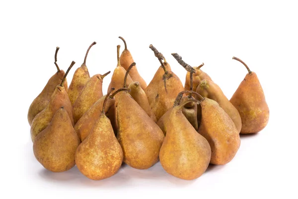 Bosc Poires variétés sur fond blanc — Photo