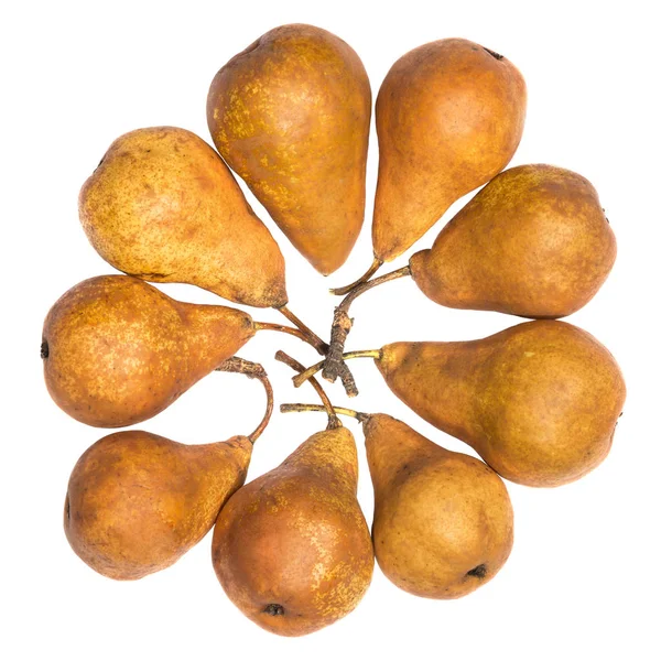 Bosc Pears variedades sobre fondo blanco —  Fotos de Stock