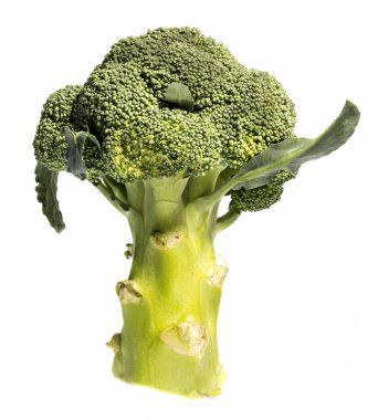 Beyaz bir arka plan üzerinde kesme brokoli