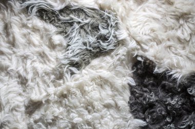 Arka plan ve doğal koyun yün closeup dokusuna