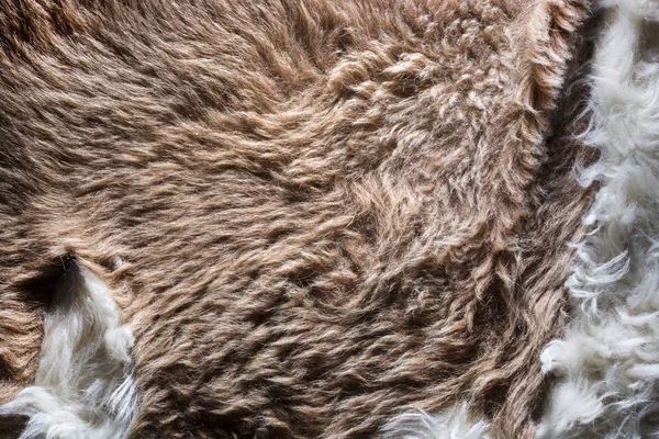Hintergrund und Textur der natürlichen Schafwolle Nahaufnahme — Stockfoto