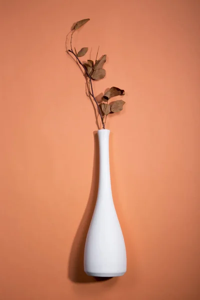 Nature morte avec vase et rameau blanc avec feuilles — Photo