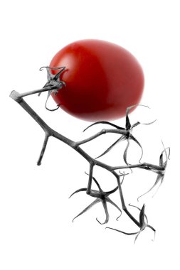 Hiyeroglif. Beyaz bir arka planda, bir hiyeroglif anımsatan bir şube ile domates.