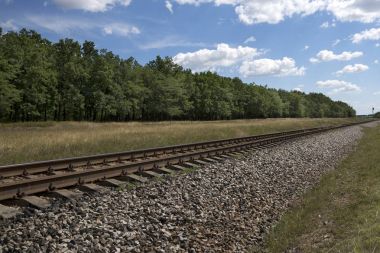 Bir demiryolu ve meşe koruluğuyla yaz manzarası