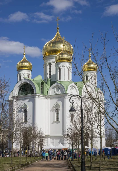 푸쉬 킨 타운 (Tsarskoye Selo에에서 정통 캐서린의 성당) — 스톡 사진