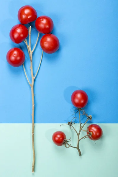 Abstraktes Stillleben mit Tomaten und Zweigen — Stockfoto