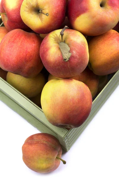 Fragmento de uma caixa com maçãs maduras em um fundo branco — Fotografia de Stock