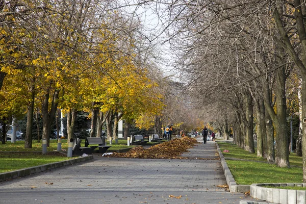 Čištění žluté listí na nábřeží města Dněpr, Ukrajina — Stock fotografie
