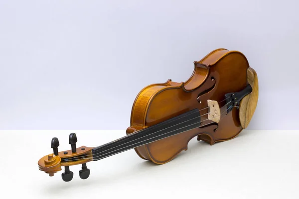 Instrumento Musical Violín Sobre Fondo Gris —  Fotos de Stock