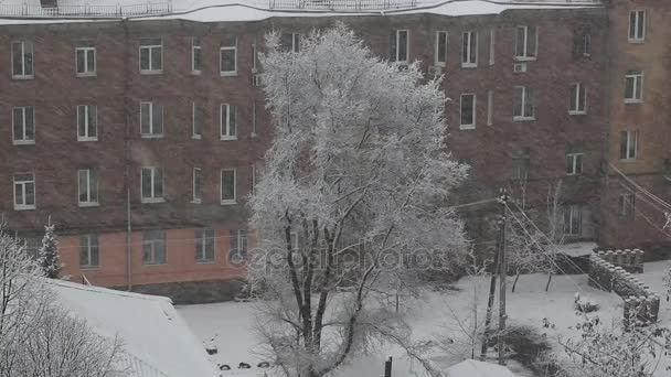 Winter city landscape with a heavy snowfall — Stock Video