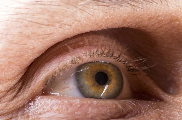 Imagen del ojo derecho de un hombre maduro, primer plano —  Fotos de Stock