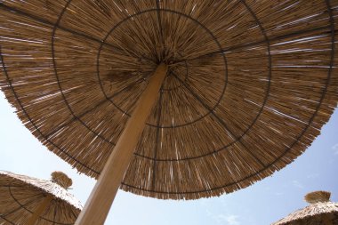 Güneşten gelen şemsiyeler gökyüzüne karşı kumsaldaki sazlıklardan