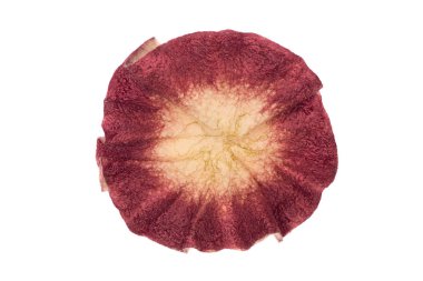 Arka plan tasarımı için yün, dekorasyon için metin tasarım şablonu oluşturulan.