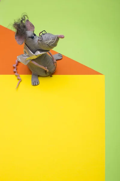 Rat - soft toy made of felted wool on a colored background