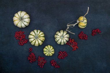 Dekoratif balkabakları ve viburnum ile sakin bir hayat..