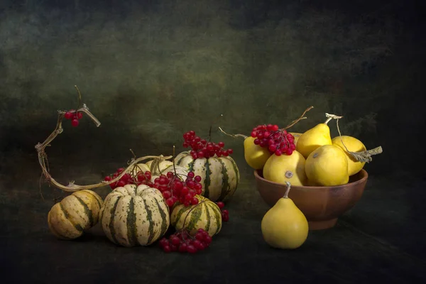 Kürbisse Und Beeren Von Reifem Roten Viburnum Auf Dunklem Hintergrund — Stockfoto