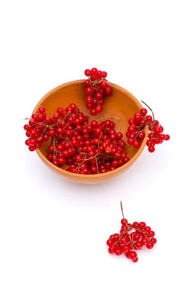 Ripe Red Viburnum Berries Plate White Background — Stock Photo, Image