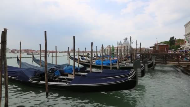 Venecia, Italia - 22 de agosto de 2019: Jetty con góndolas en el paseo marítimo de Venecia — Vídeo de stock