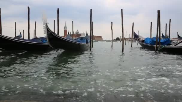 Venecia, Italia - 22 de agosto de 2019: Jetty con góndolas en el paseo marítimo de Venecia — Vídeos de Stock