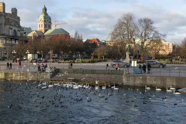 Estocolmo Suecia Enero 2020 Lugar Para Alimentar Las Aves Embankment — Foto de Stock