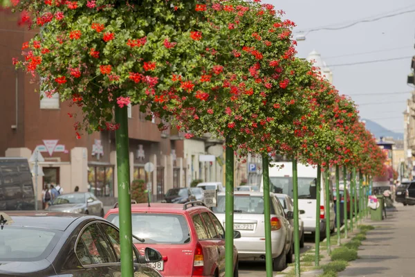 Budapešť Maďarsko Srpna 2019 Výhled Ulice Centru Budapešti — Stock fotografie