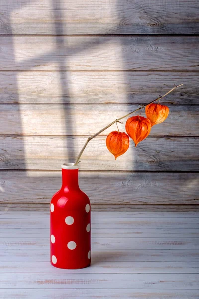 Nature Morte Avec Une Branche Physalis Dans Vase Rouge — Photo