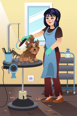 Salon bir köpek bakım evde beslenen hayvan damat