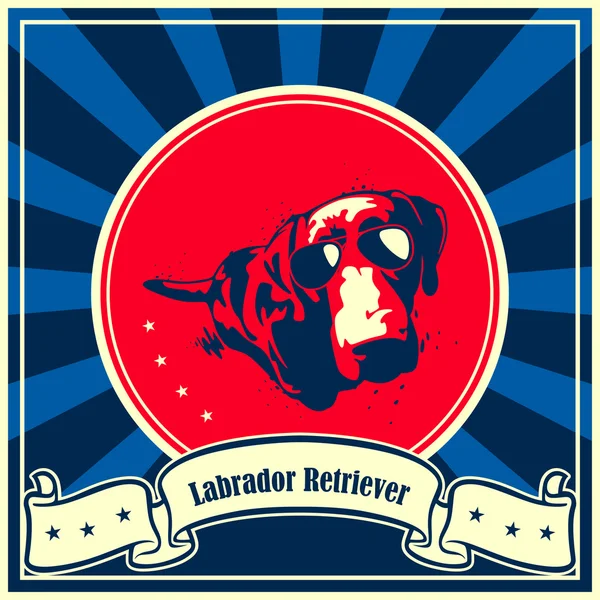 Labrador Vizsla kutya poszter — Stock Vector