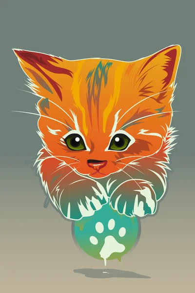 Cartaz animal de gato —  Vetores de Stock