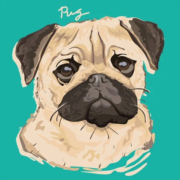 Póster de pintura Pug — Vector de stock