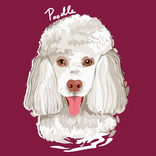 Cartaz de pintura de poodle — Vetor de Stock