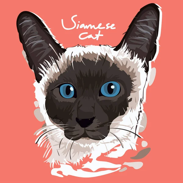 Сіамська кішка живопис плакат — стоковий вектор