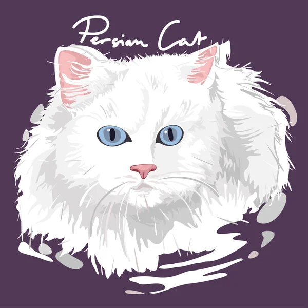 Póster de pintura de gato persa — Vector de stock