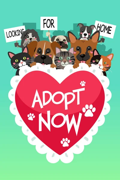Zwierzęta do adopcji plakat — Wektor stockowy