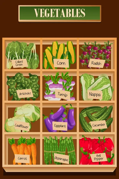 Verschiedene Gemüsesorten in einer Schachtel — Stockvektor