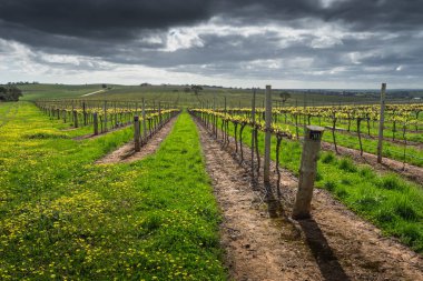 Barossa Valley sahne