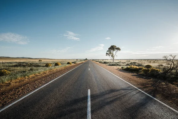 The Journey Forward — Stock Photo, Image