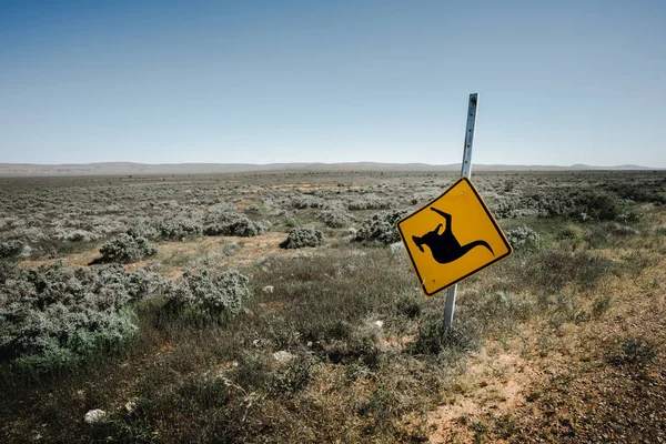 País canguro - Australia — Foto de Stock