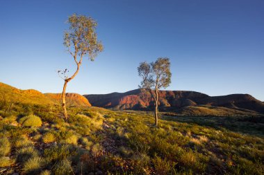 Ormiston Lirası, Kuzey toprakları