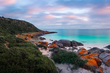 Dolphin Bay, Avustralya