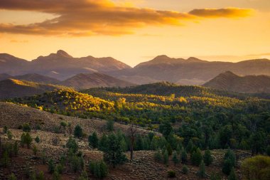 Flinders aralıkları, Güney Avustralya