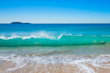 Nsw, Avustralya Zenith Plajı'nda sörf