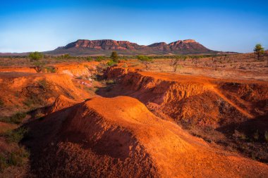 Wilpena Lirası Flinders aralıklar, Güney Avustralya
